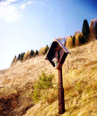 Costalta autunnale 15