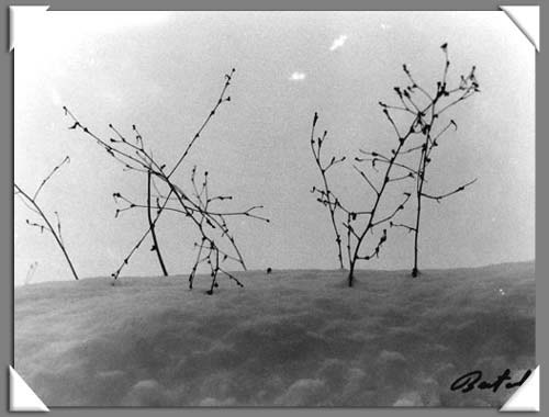 Costalta in... bianco-nero 2
