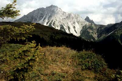 I Longerin dal Monte Zovo