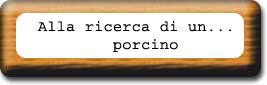 Storia interattiva: sei tu protagonista...