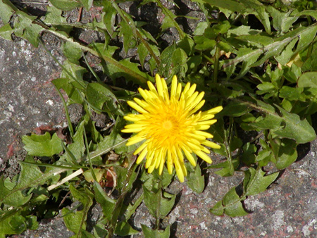 03b