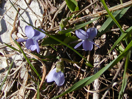 05