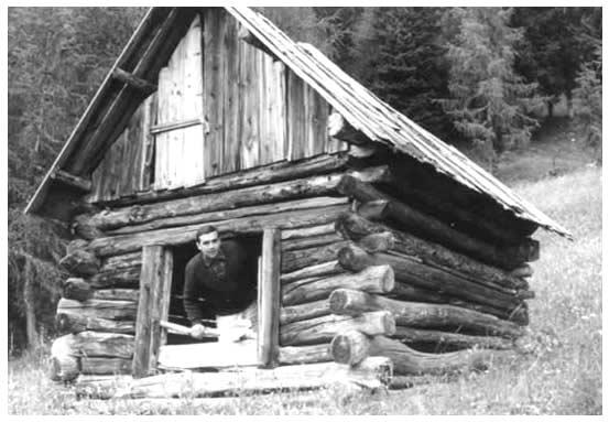 6. Un vecchio cadon - 1955 -